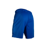 Шорты игровые SALMING Core 22 TeamBlue