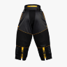 Вратарские штаны Zone PRO3 Superwide Black/Gold