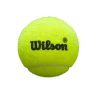Cajón 24 Botes Pelotas Wilson Premier Padel Speed