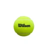 Cajón 24 Botes Pelotas Wilson Premier Padel
