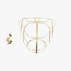 Сетка для шлема Zone PRO gold