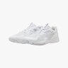 Кроссовки Puma Accelerate Pro 4 White/Silver